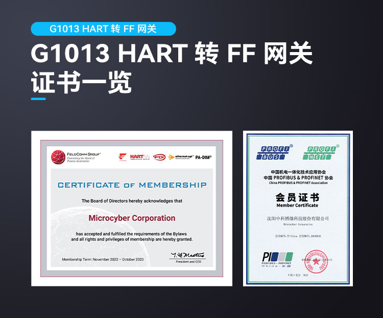 G1013 網關.jpg