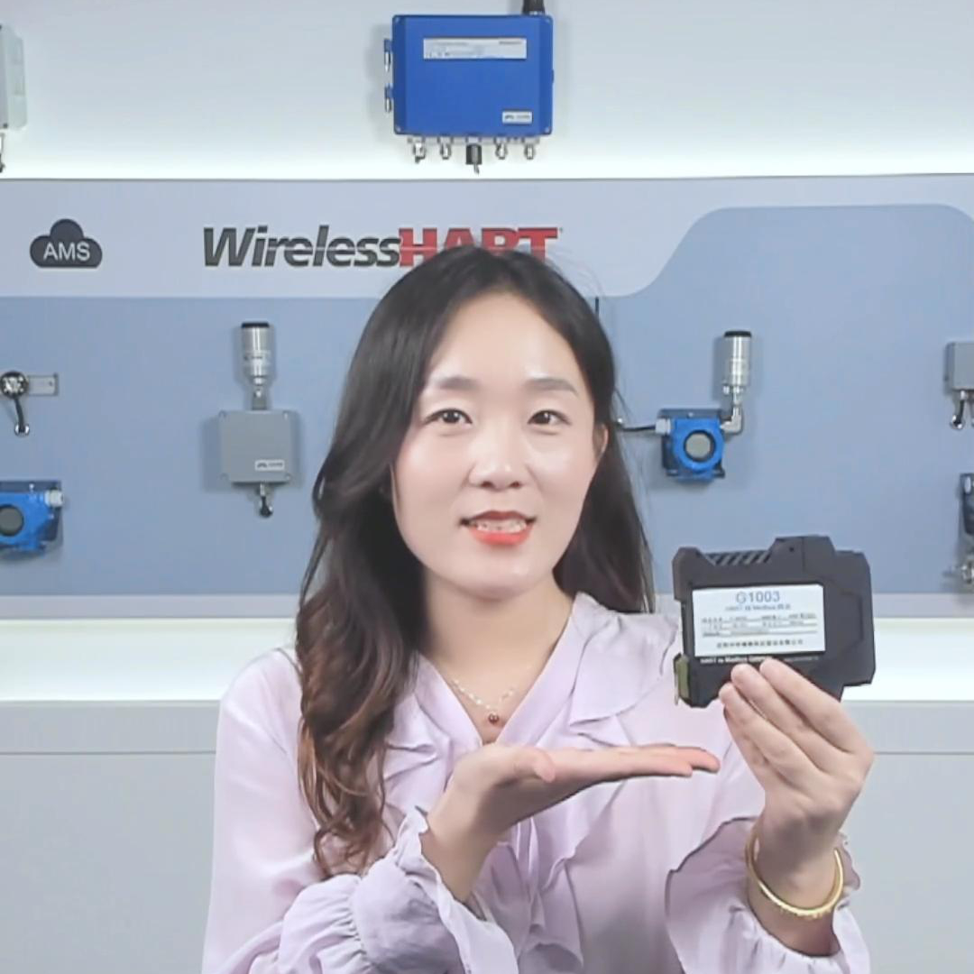 G1003 HART 轉 Modbus 網關