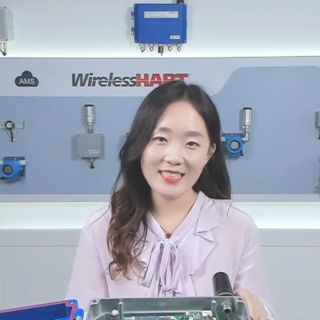 G1100 WirelessHART 智能無線網關